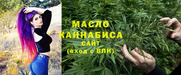 МДПВ Нея