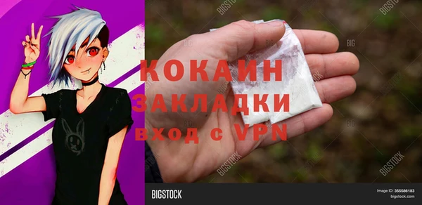 МДПВ Нея