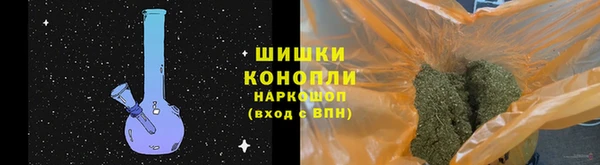 МДПВ Нея