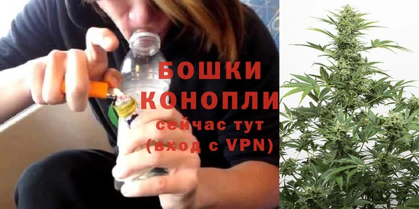 МДПВ Нея