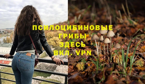 МДПВ Нея